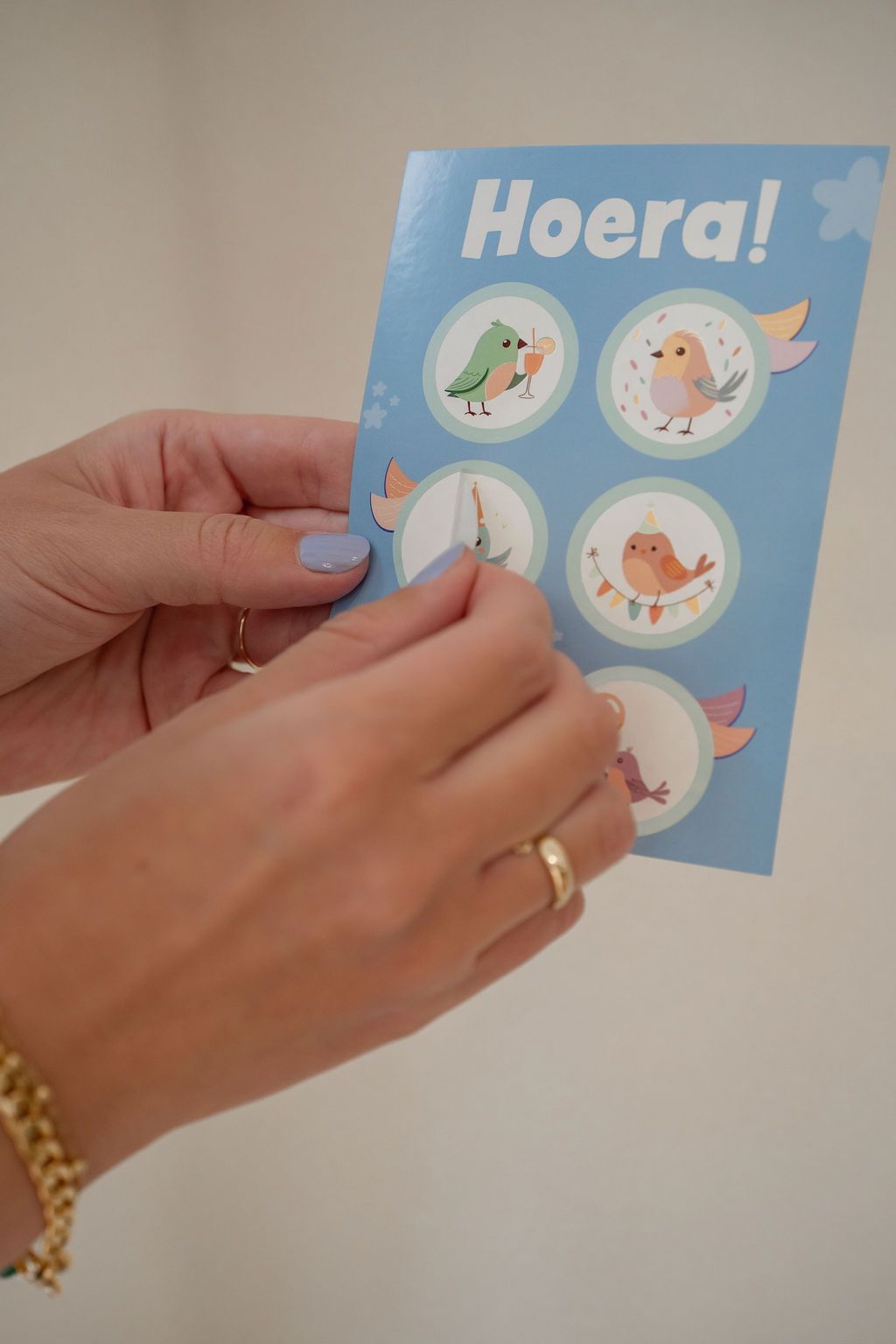 StickerPost ansichtkaart vogels