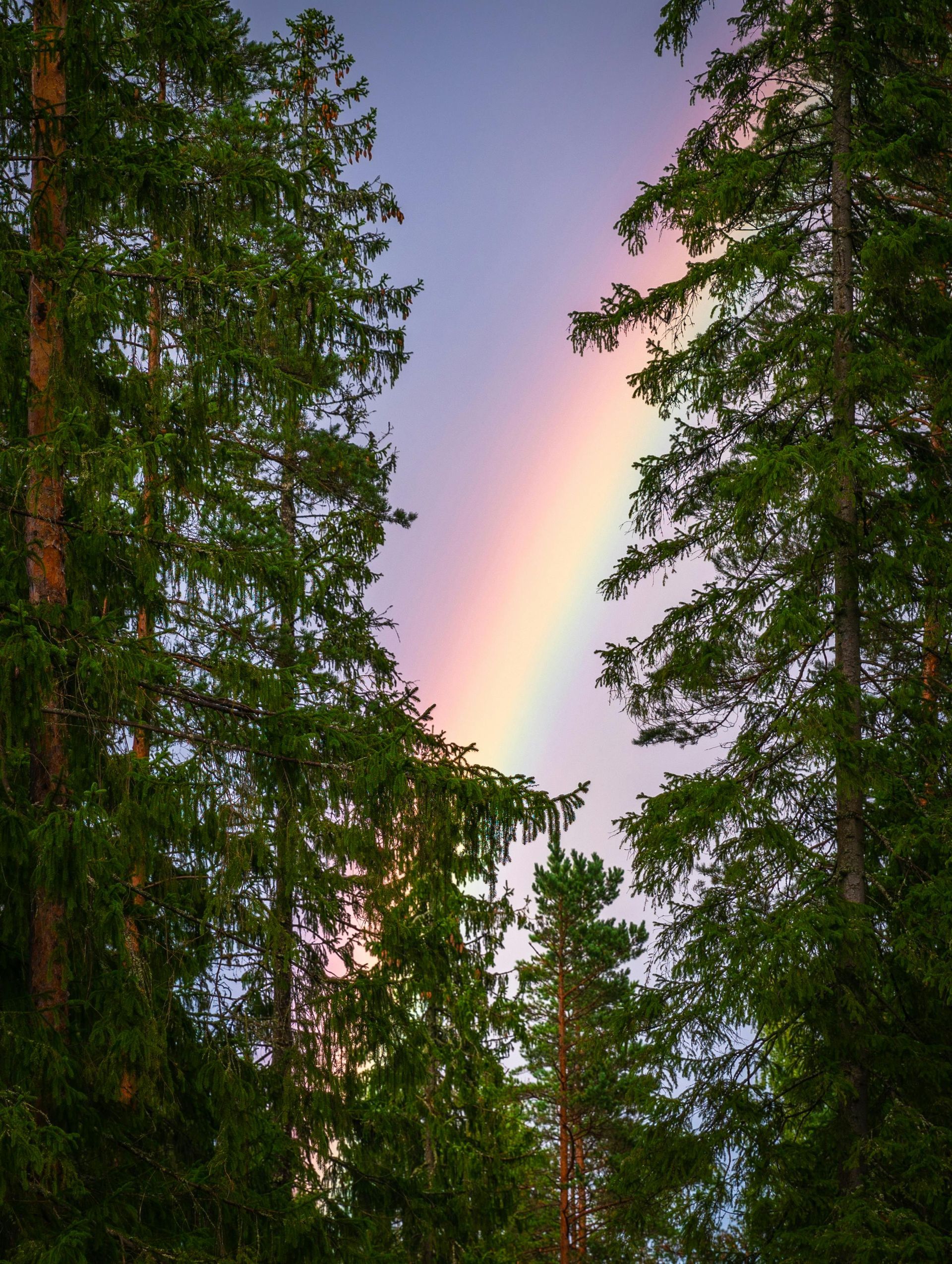 Therapy for LGBTQ