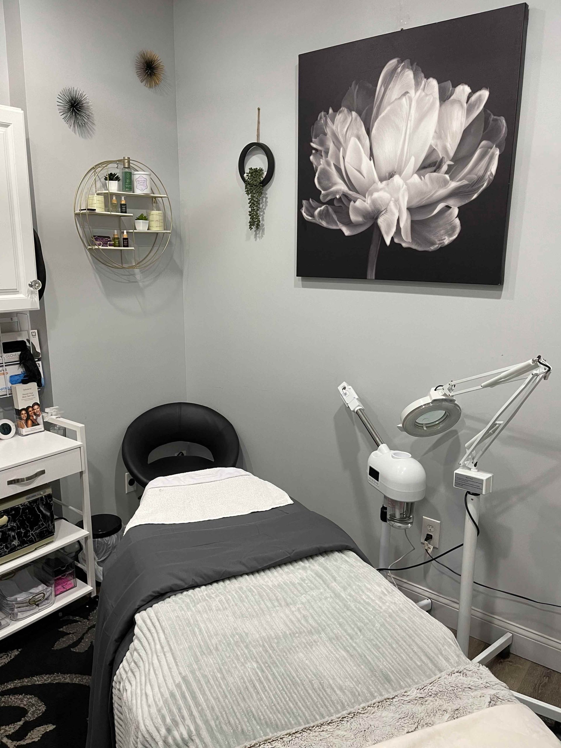 A professional treatment room featuring an aesthetician's bed, a rolling cart, a facial steamer, and wall decor.