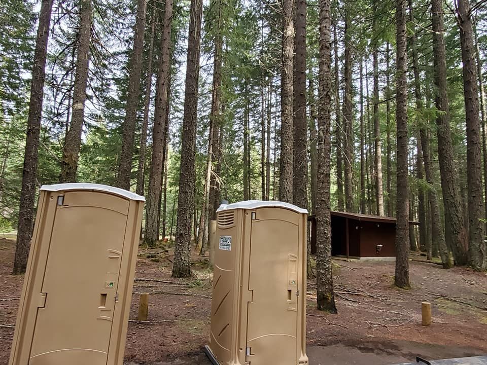 Two beige portable toilets stand in a wooded area, with a brown shelter in the background.