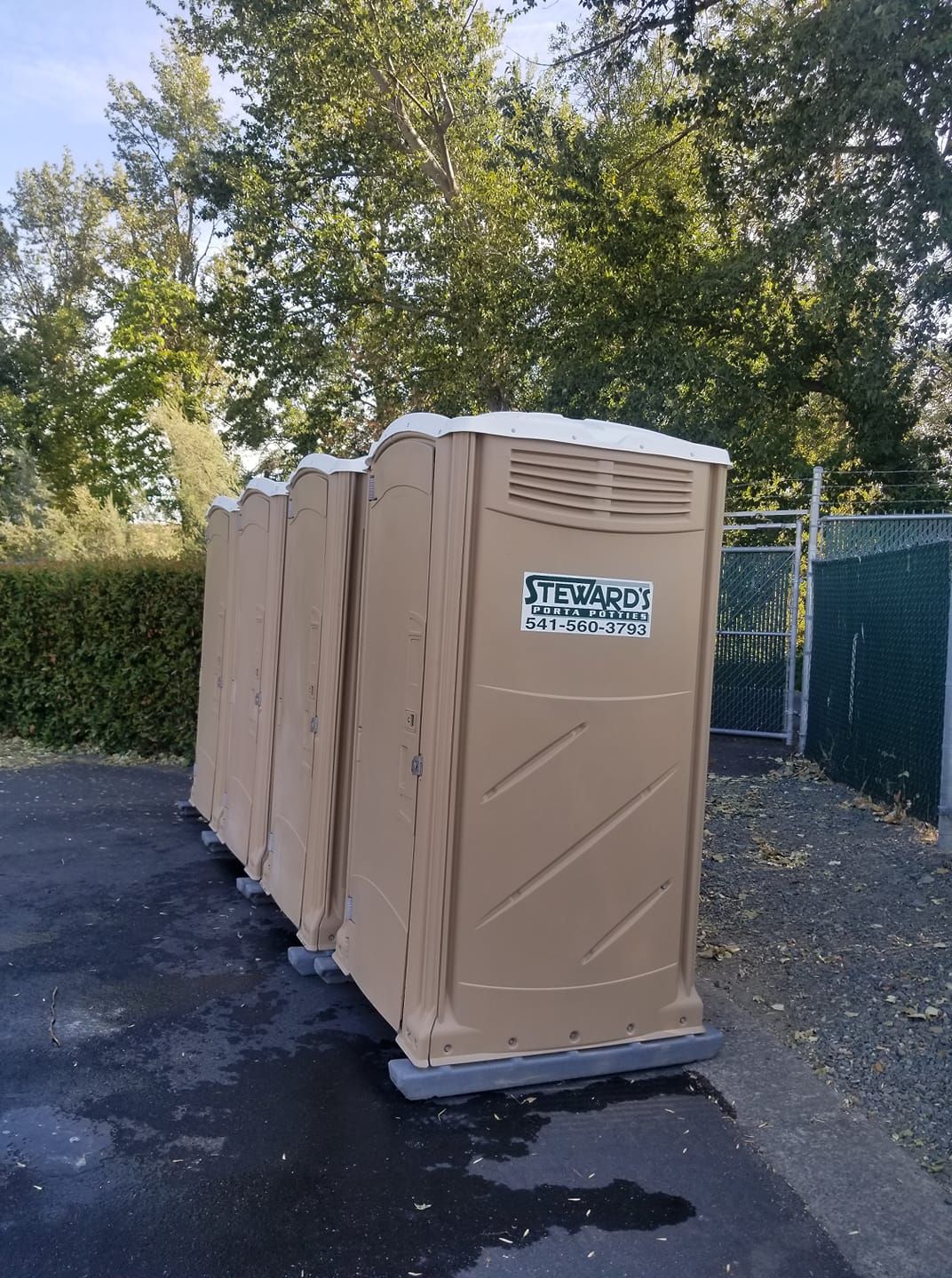 Row of beige portable toilets on a wet asphalt surface, near a fence and trees.