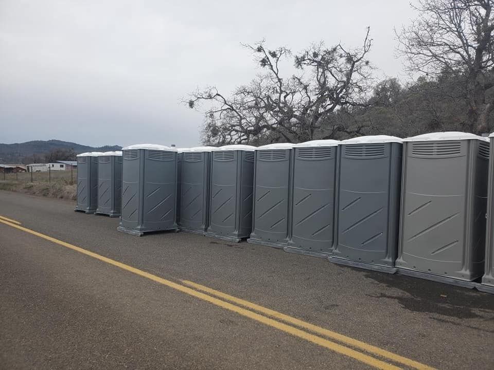 Row of gray portable toilets lined up on the side of a road, with trees in the background.