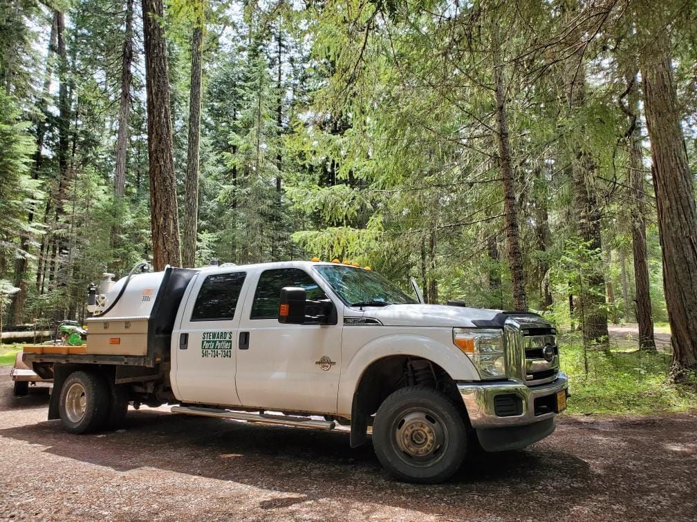 White pickup truck with flatbed parked in a forest, trees in background, sunny day.