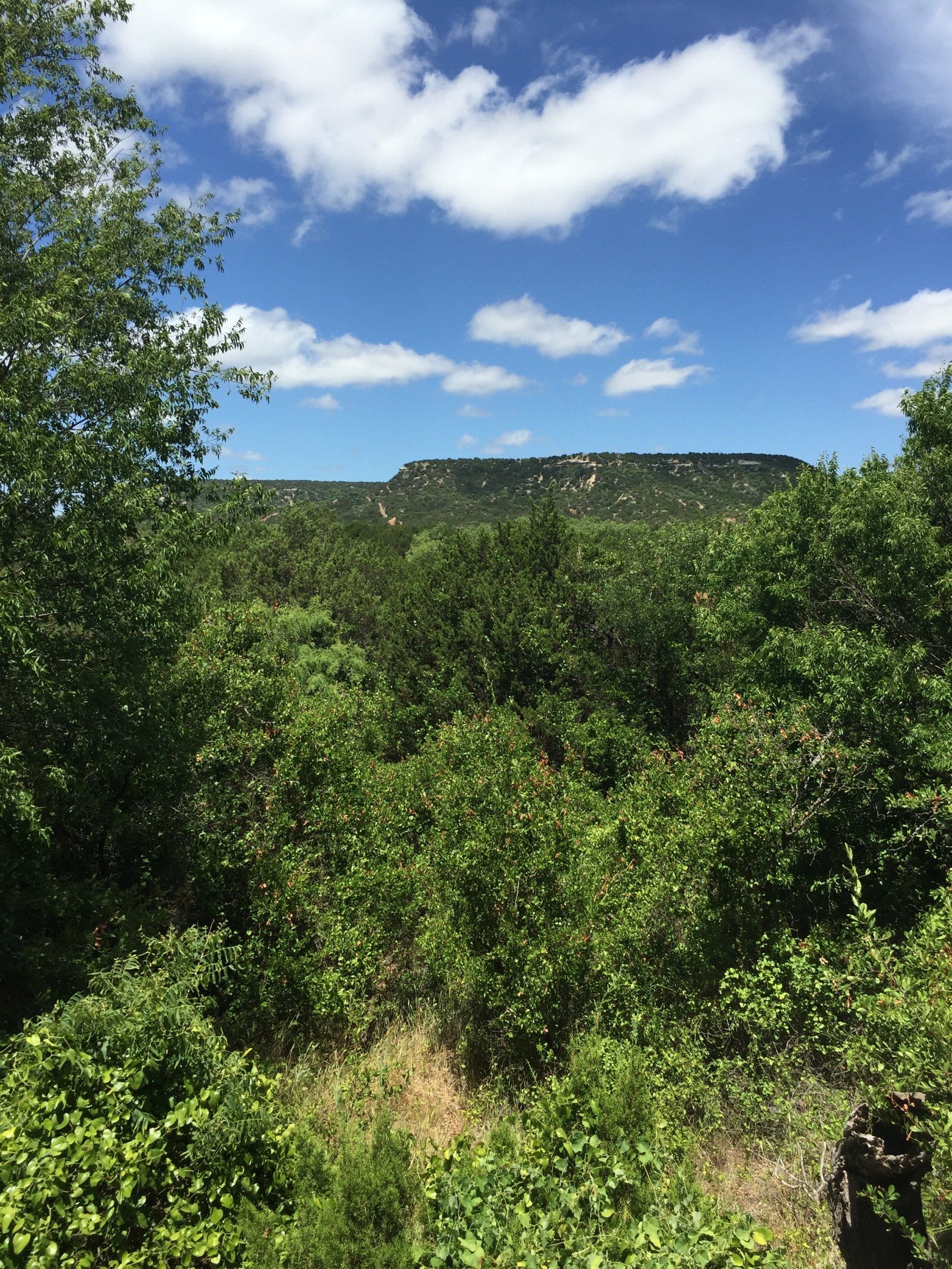 Buffalo Gap Bed & Breakfast Buffalo Gap, TX Photo Gallery