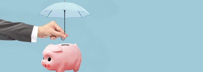 A person holding an umbrella over a piggy bank emphasizes.