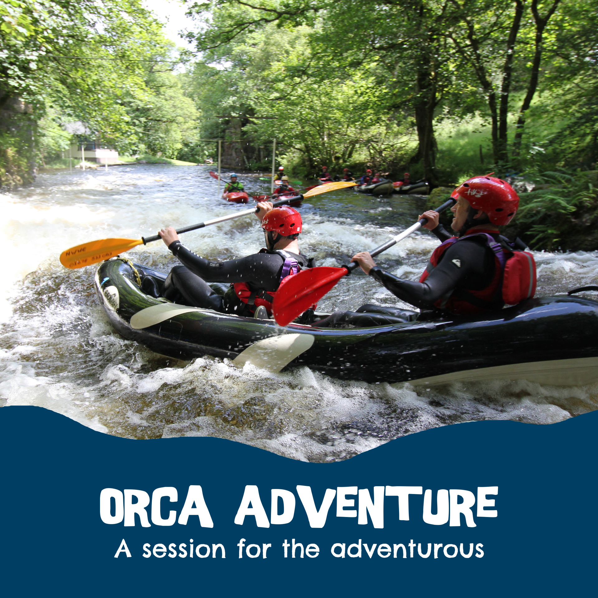 orca adventure