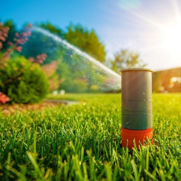 a sprinkler is spraying water on a lush green lawn .