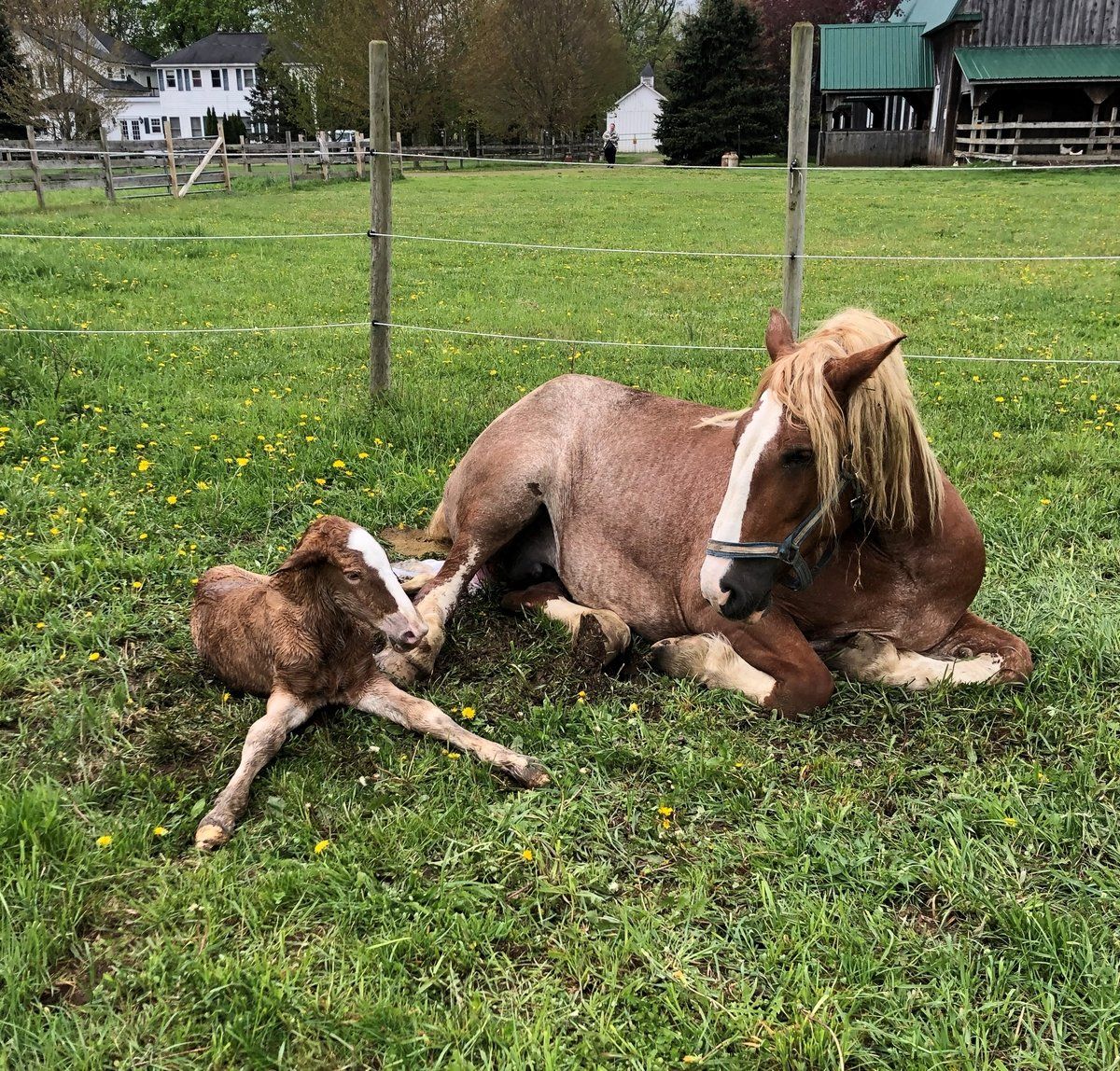 Eve and Misneach, just born