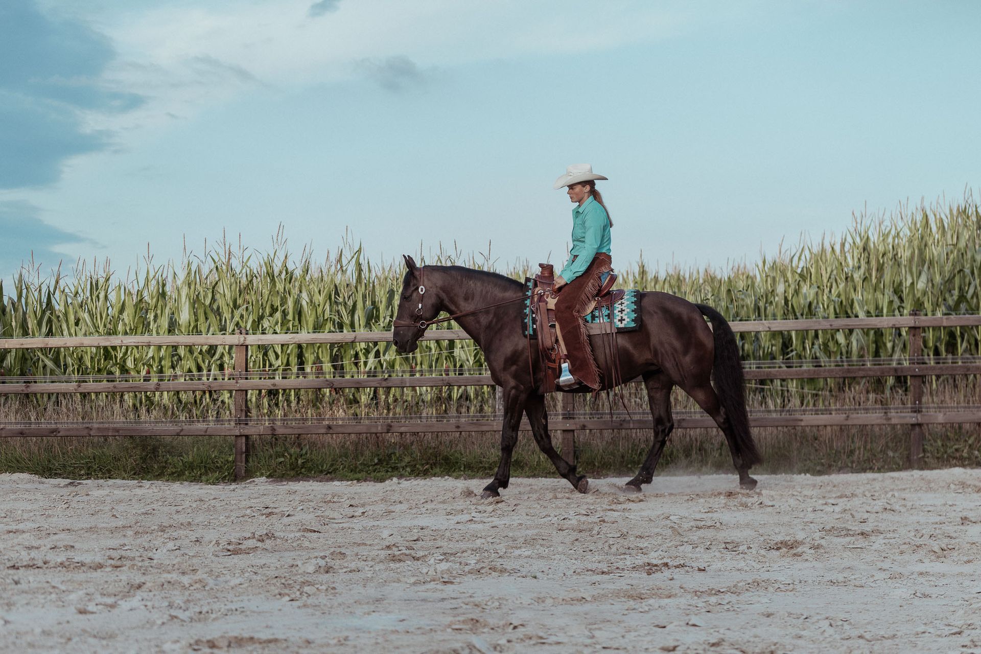 Vrouw met cowboyhoed aait een donker paard bij een meer.