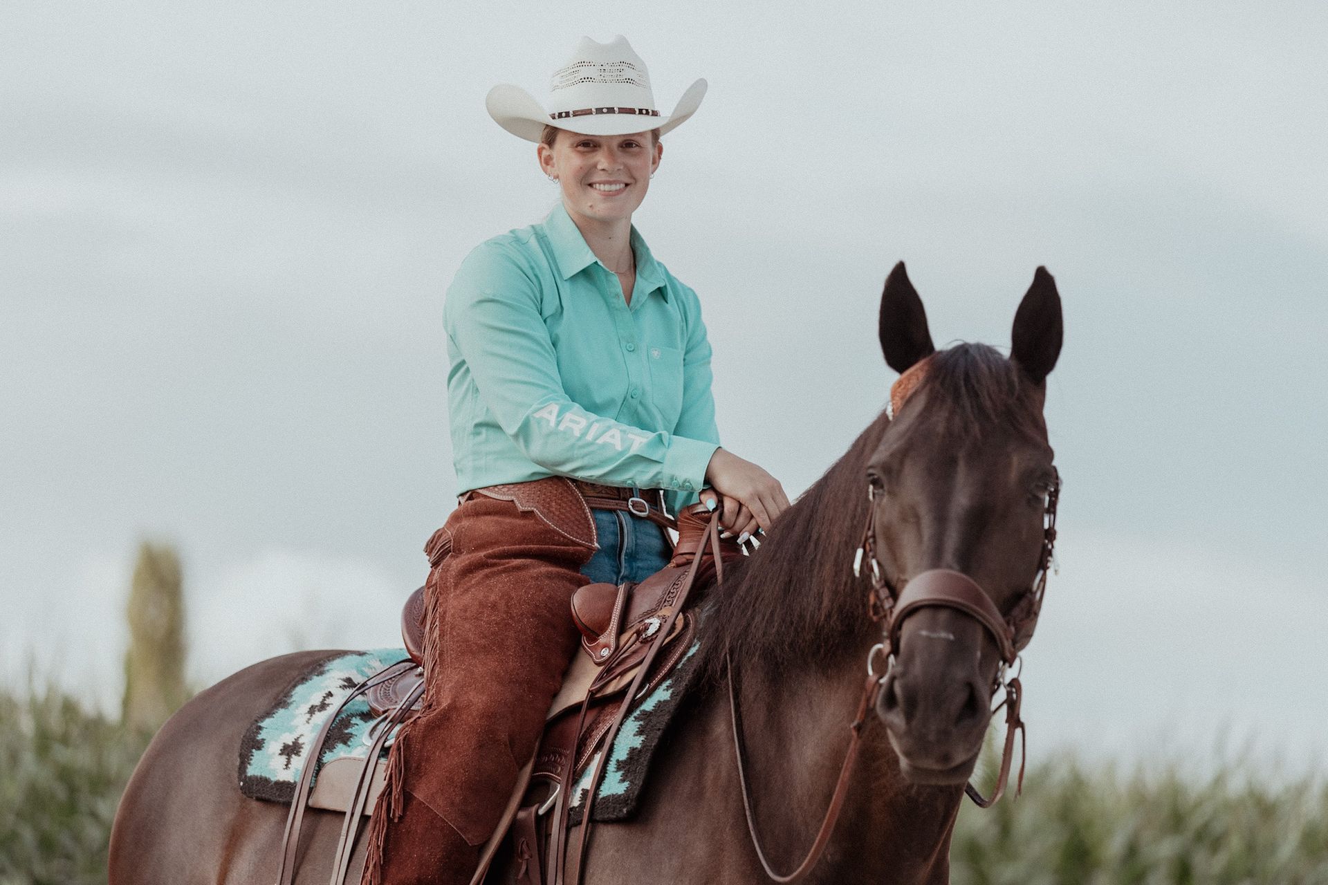 Twee donkerbruine paarden met halsters staan ​​buiten; een merrie en een veulen.