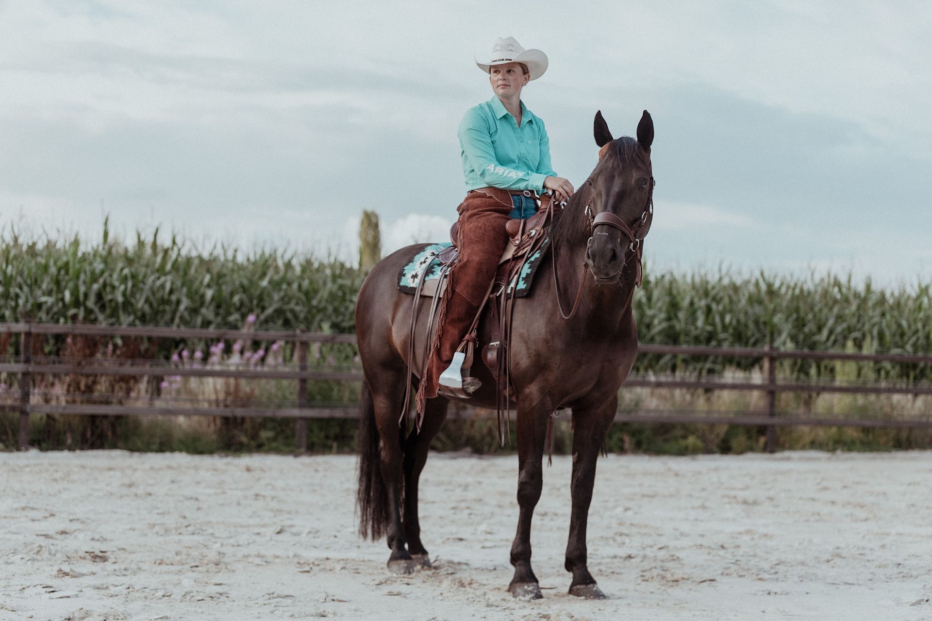 Een vrouw met een cowboyhoed voedt een bruin paard buiten, bij een hek en hoog gras.