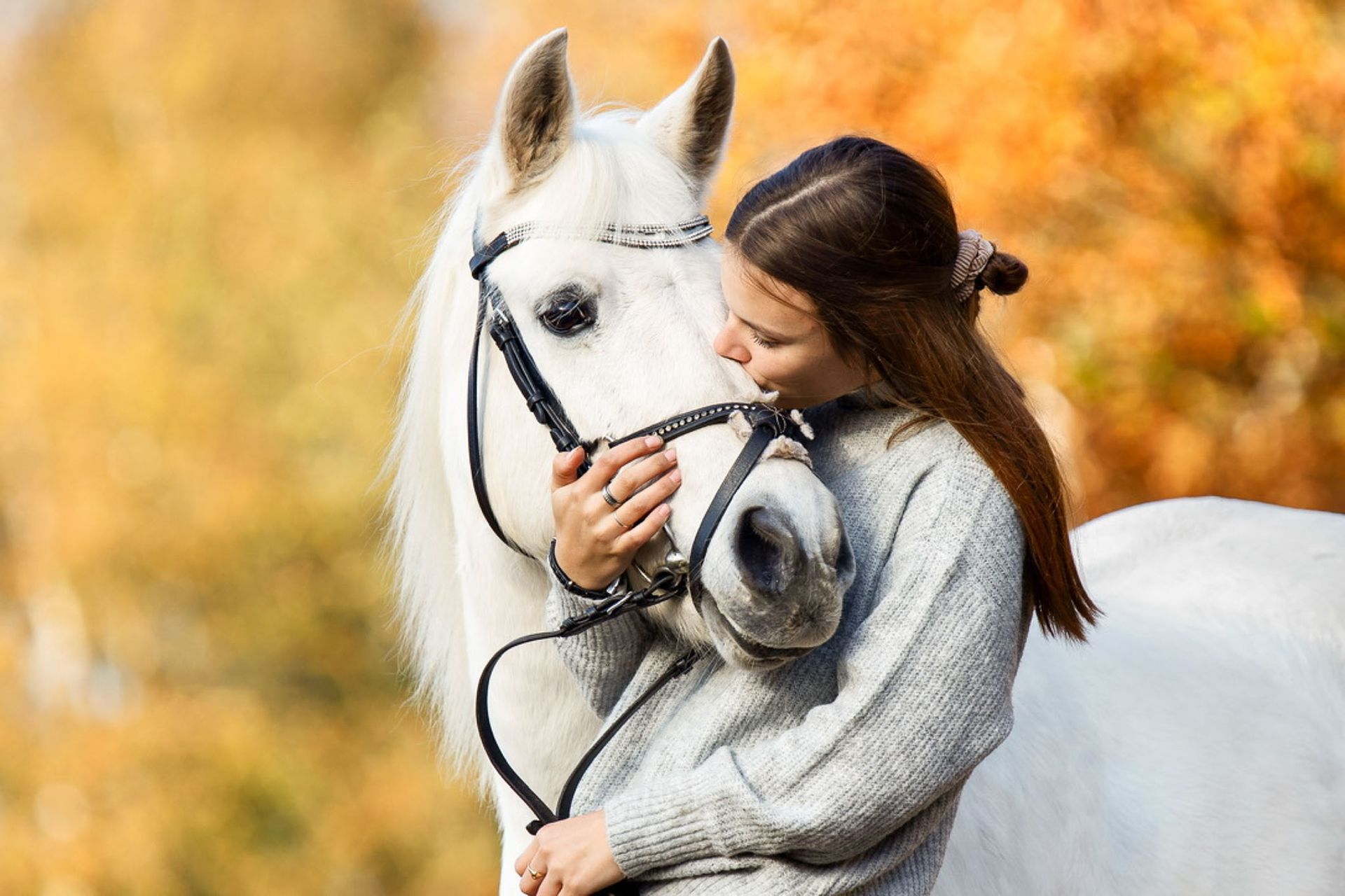 Een vrouw omhelst buiten voorzichtig een wit paard. Ze kijken elkaar aan en de achtergrond is herfstachtig.