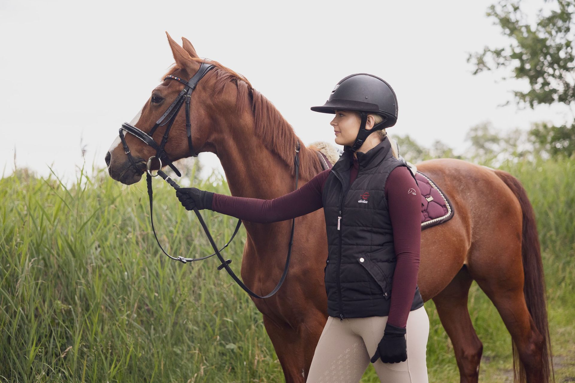 Een persoon in rijkleding houdt een kastanjebruin paard aan de teugels vast, vlakbij hoog gras.