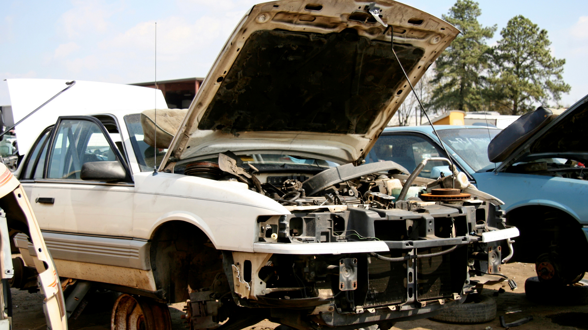 White car with hood open, front end missing, in a junkyard.