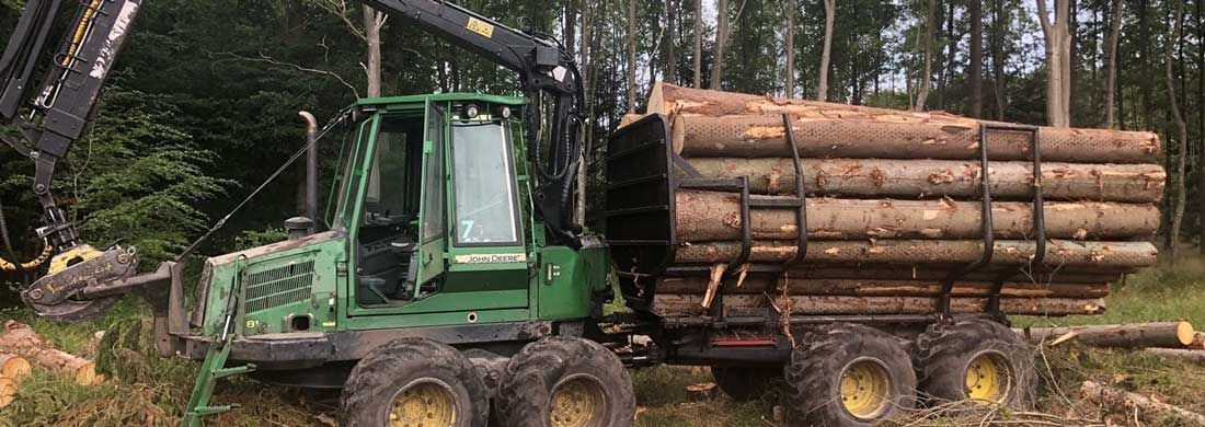 Grøn skovmaskine med en trailer læsset med træstammer i en skov.