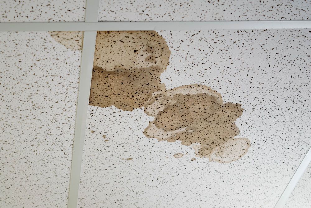 Brown water stains on ceiling from a roof leak found durning a roof inspection by NBS Roofing 