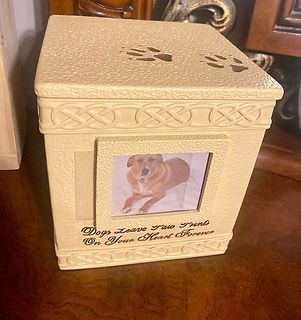 A wooden door with a black handle is behind a black fence.