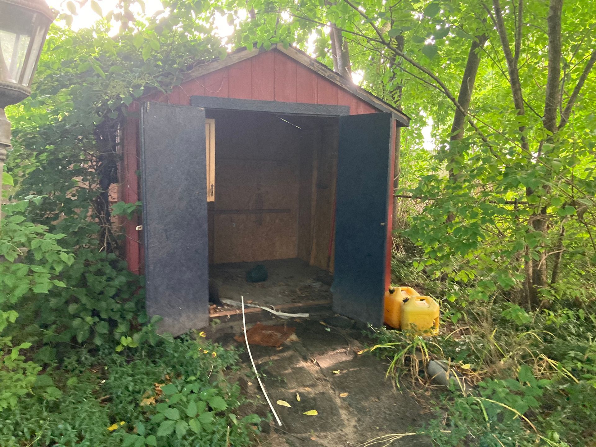 shed cleanout Providence, RI