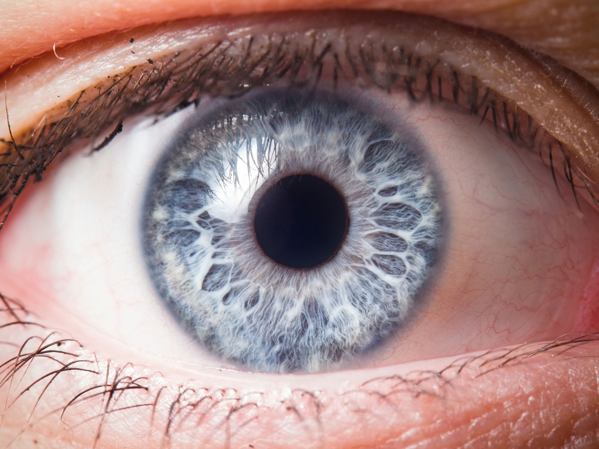A close up of a person 's blue eye.