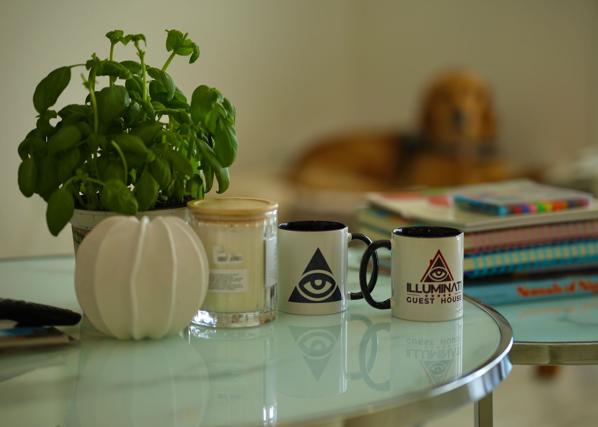 A coffee table with two mugs and a plant on it