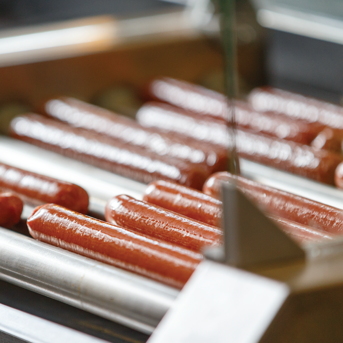 A bunch of hot dogs are being cooked on a conveyor belt
