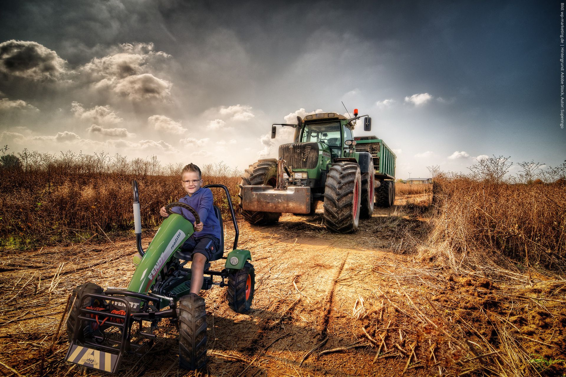 Dino-Cars Evers Gokart, Tracks