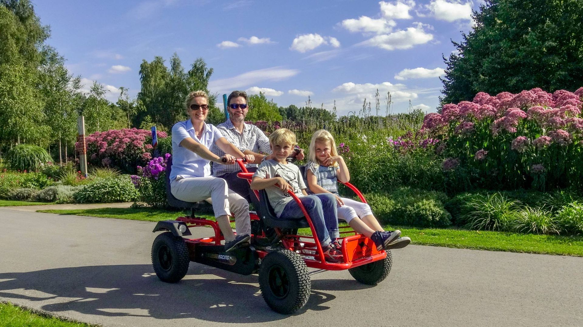 Pro Line, Professional, Dino-Cars Gokarts