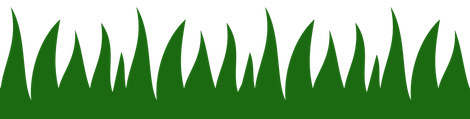 A row of green grass on a white background.