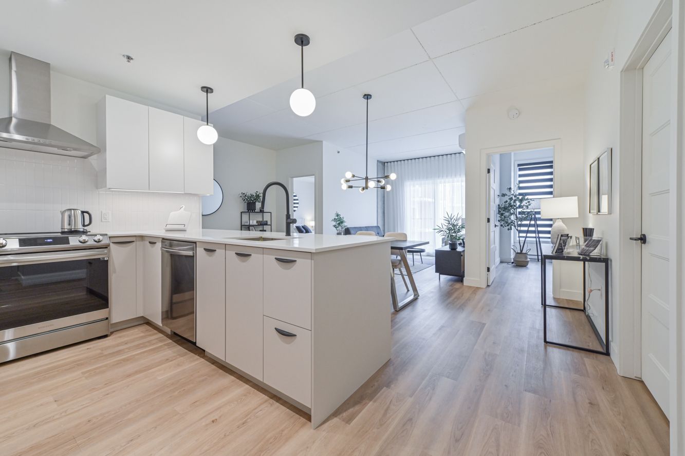 Cuisine moderne avec armoires blanches, îlot, appareils électroménagers en acier inoxydable et planchers de bois clair.