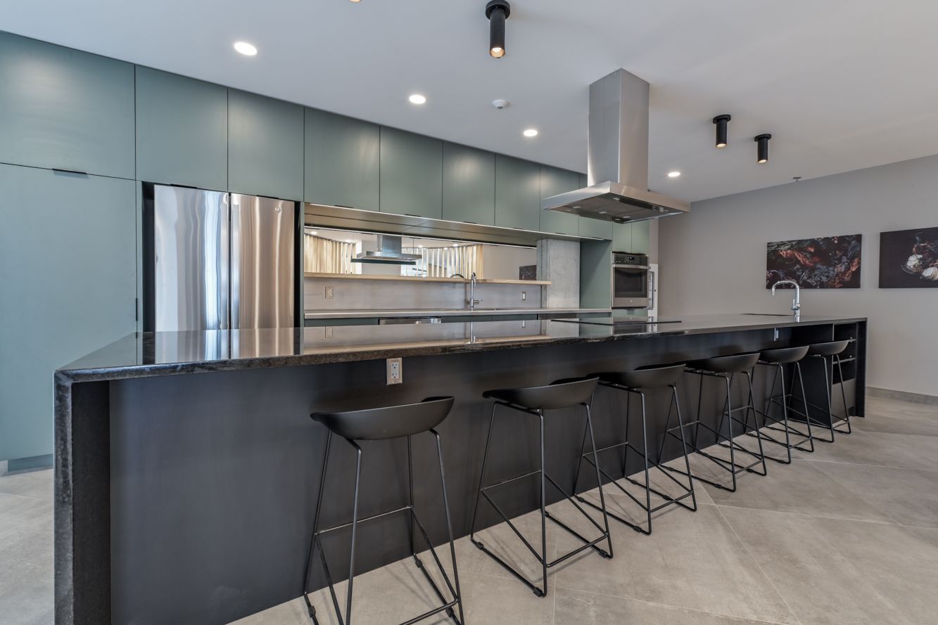 Plusieurs méduses au corps translucide et aux tentacules traînants évoluent dans un environnement bleu.