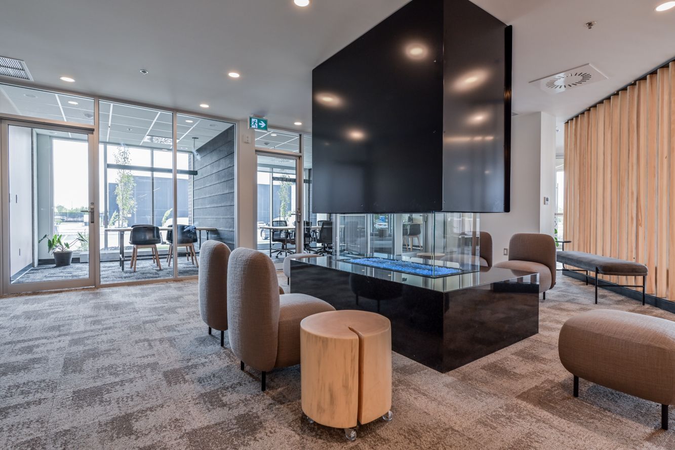 Plusieurs méduses au corps translucide et aux tentacules traînants évoluent dans un environnement bleu.