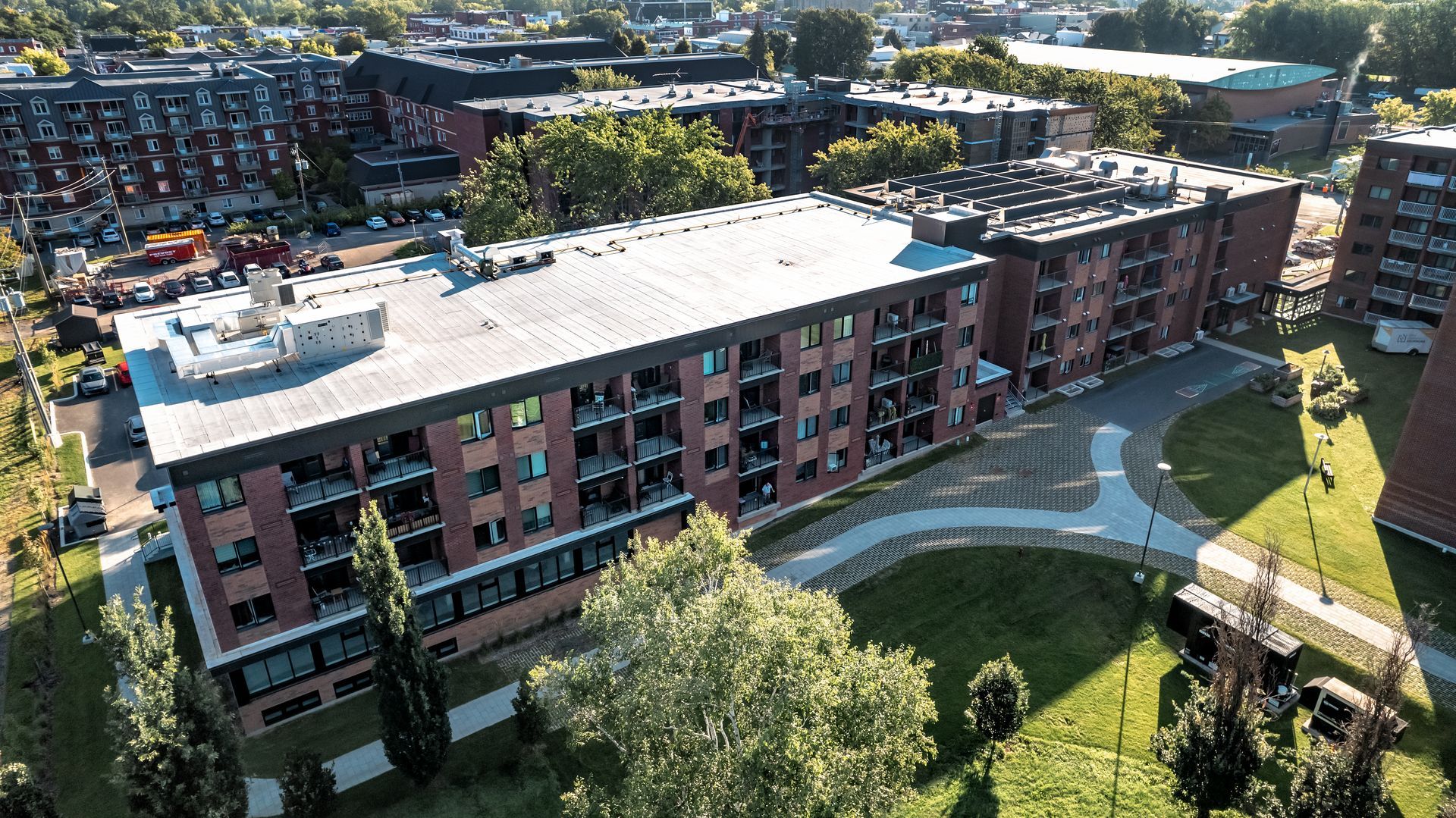 Plusieurs méduses au corps translucide et aux tentacules traînants évoluent dans un environnement bleu.