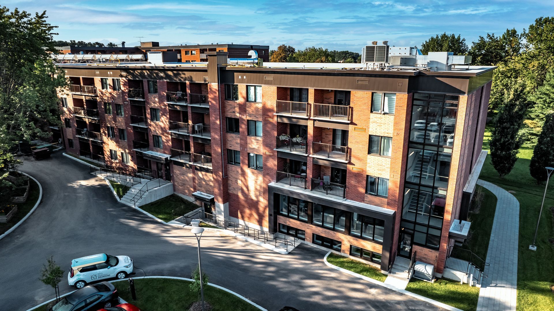 Plusieurs méduses au corps translucide et aux tentacules traînants évoluent dans un environnement bleu.