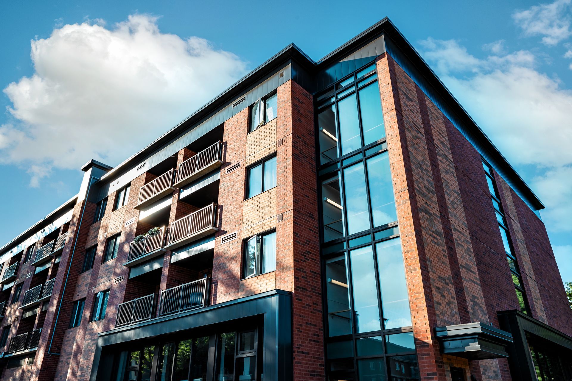 Plusieurs méduses au corps translucide et aux tentacules traînants évoluent dans un environnement bleu.
