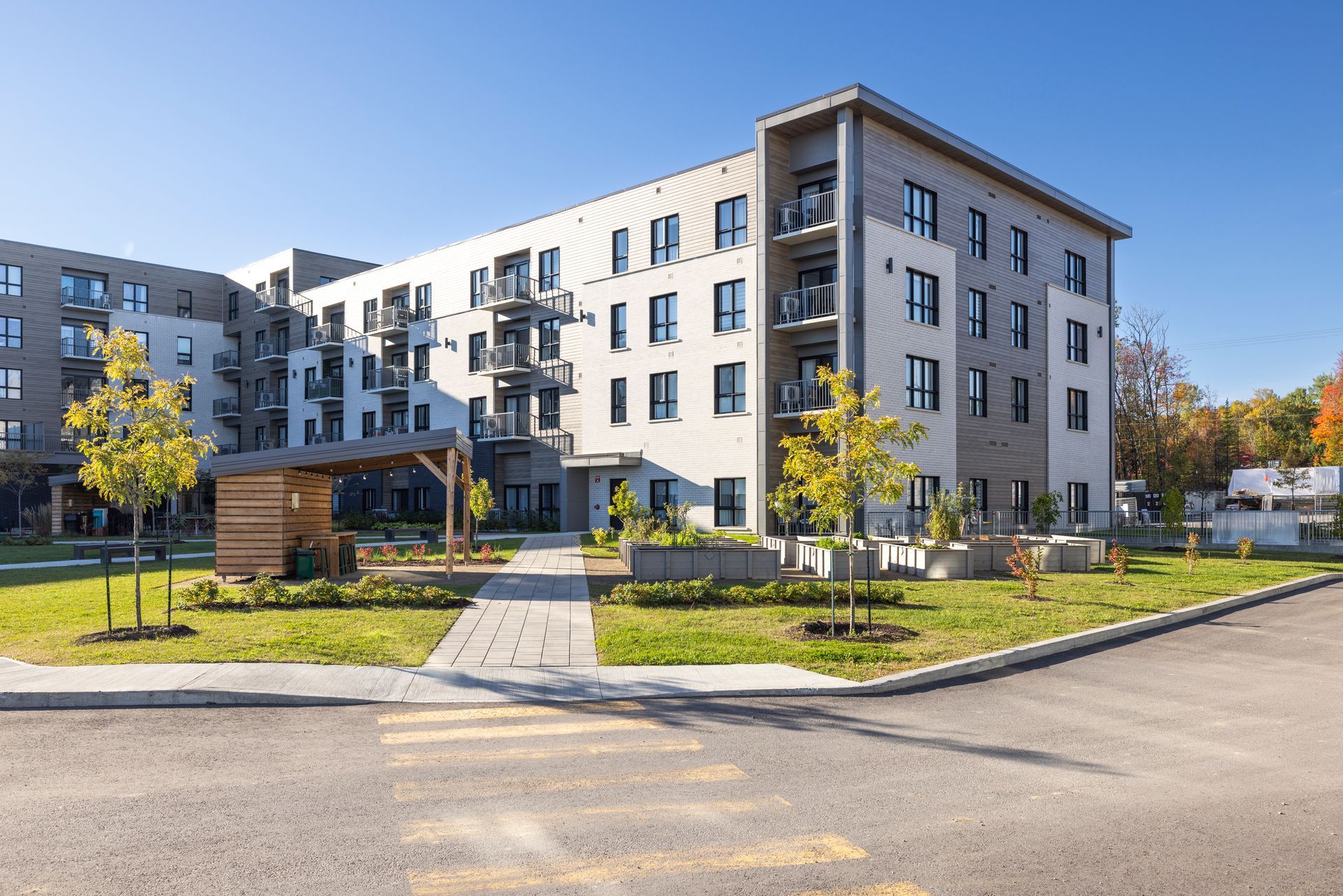 Plusieurs méduses au corps translucide et aux tentacules traînants évoluent dans un environnement bleu.