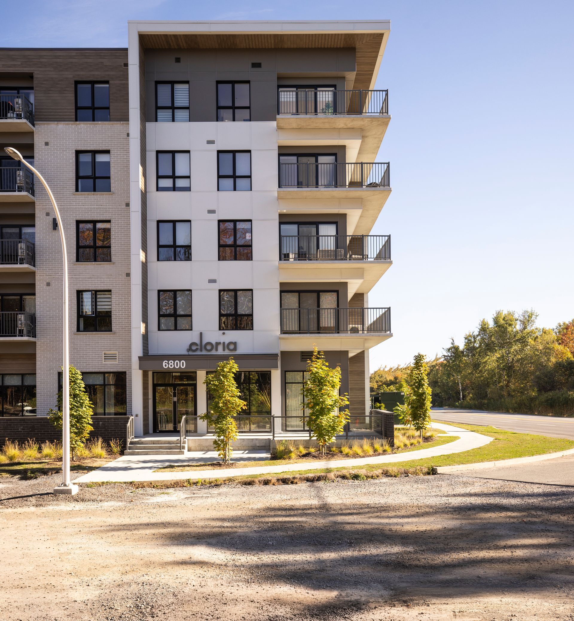 Plusieurs méduses au corps translucide et aux tentacules traînants évoluent dans un environnement bleu.