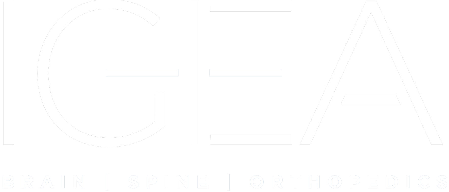 IGEA Brain, Spine and Orthopedics in NJ and NY Logo