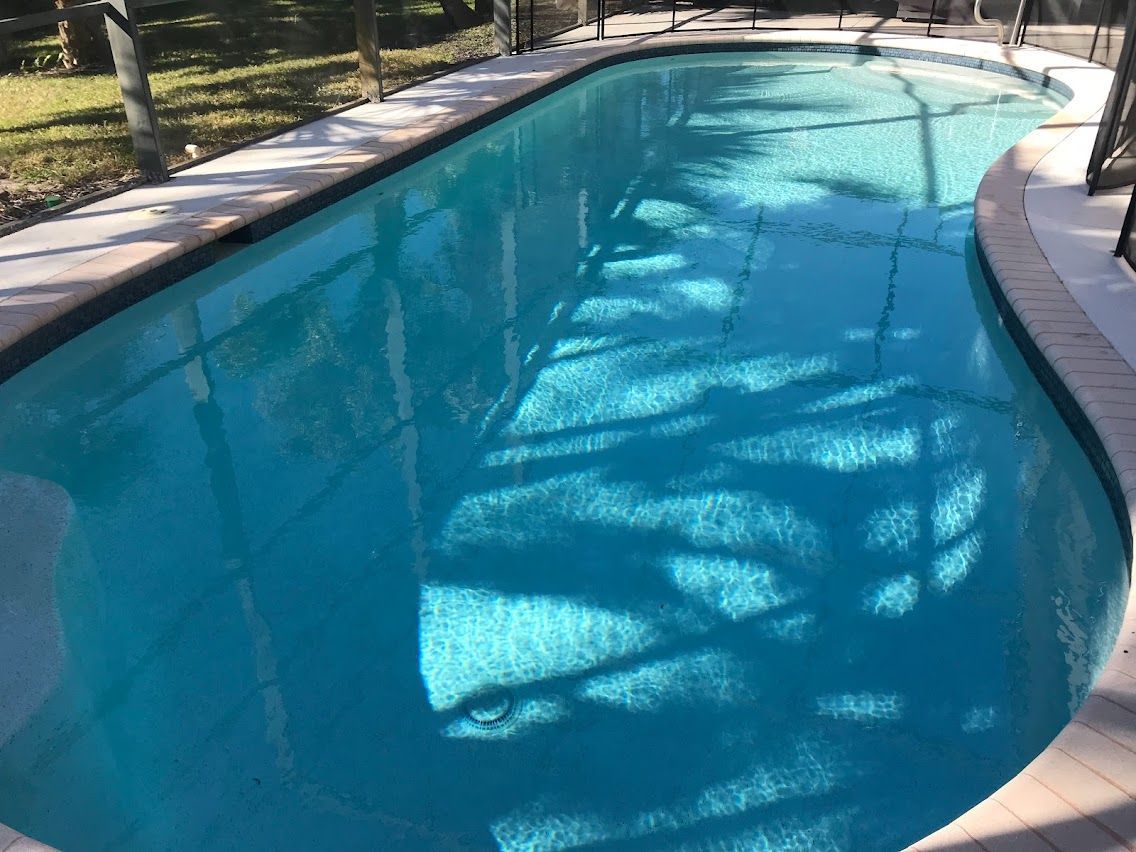 Swimming pool with light blue water, surrounded by concrete and landscaping.