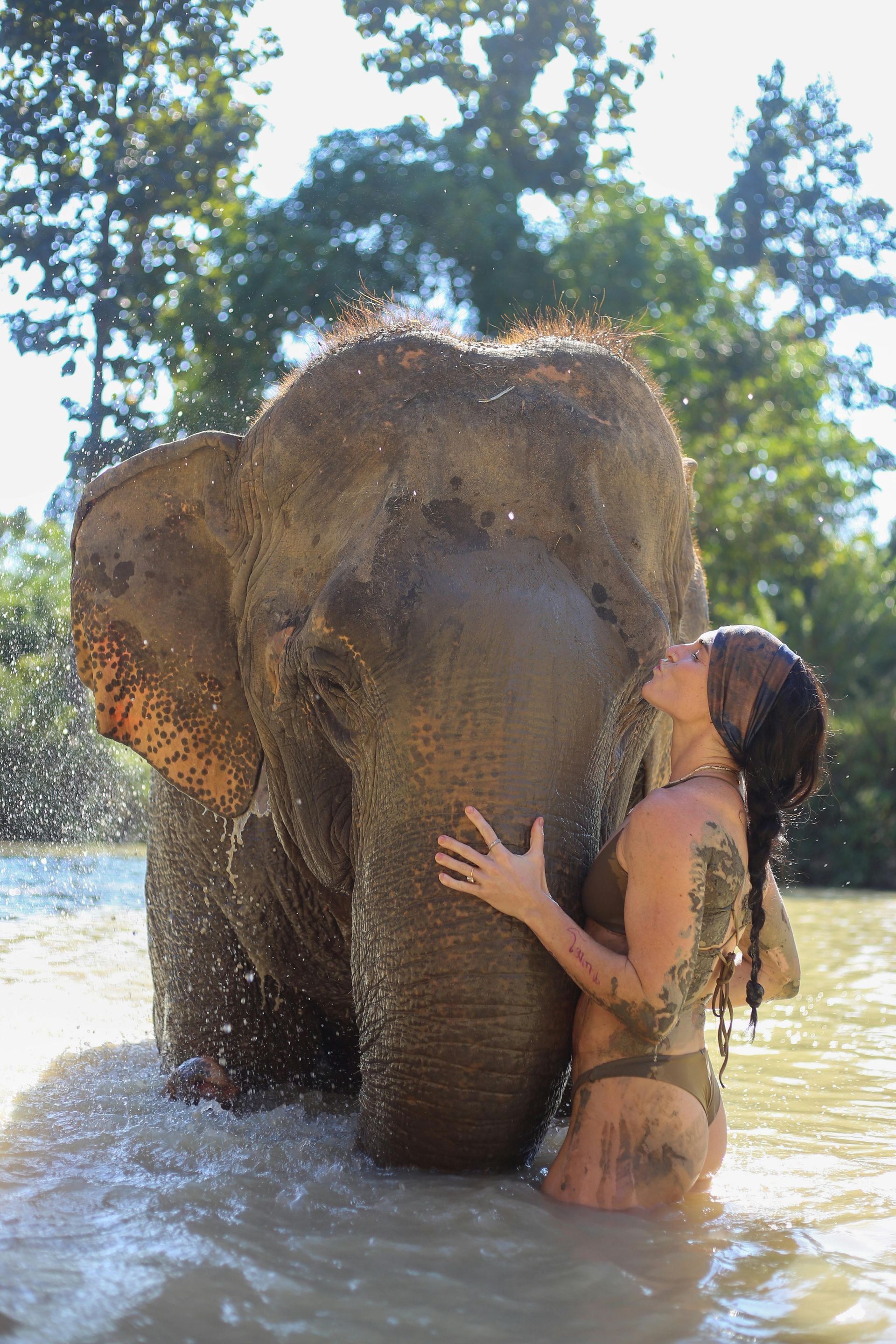 Pattaya Elephant Sanctuary Experience