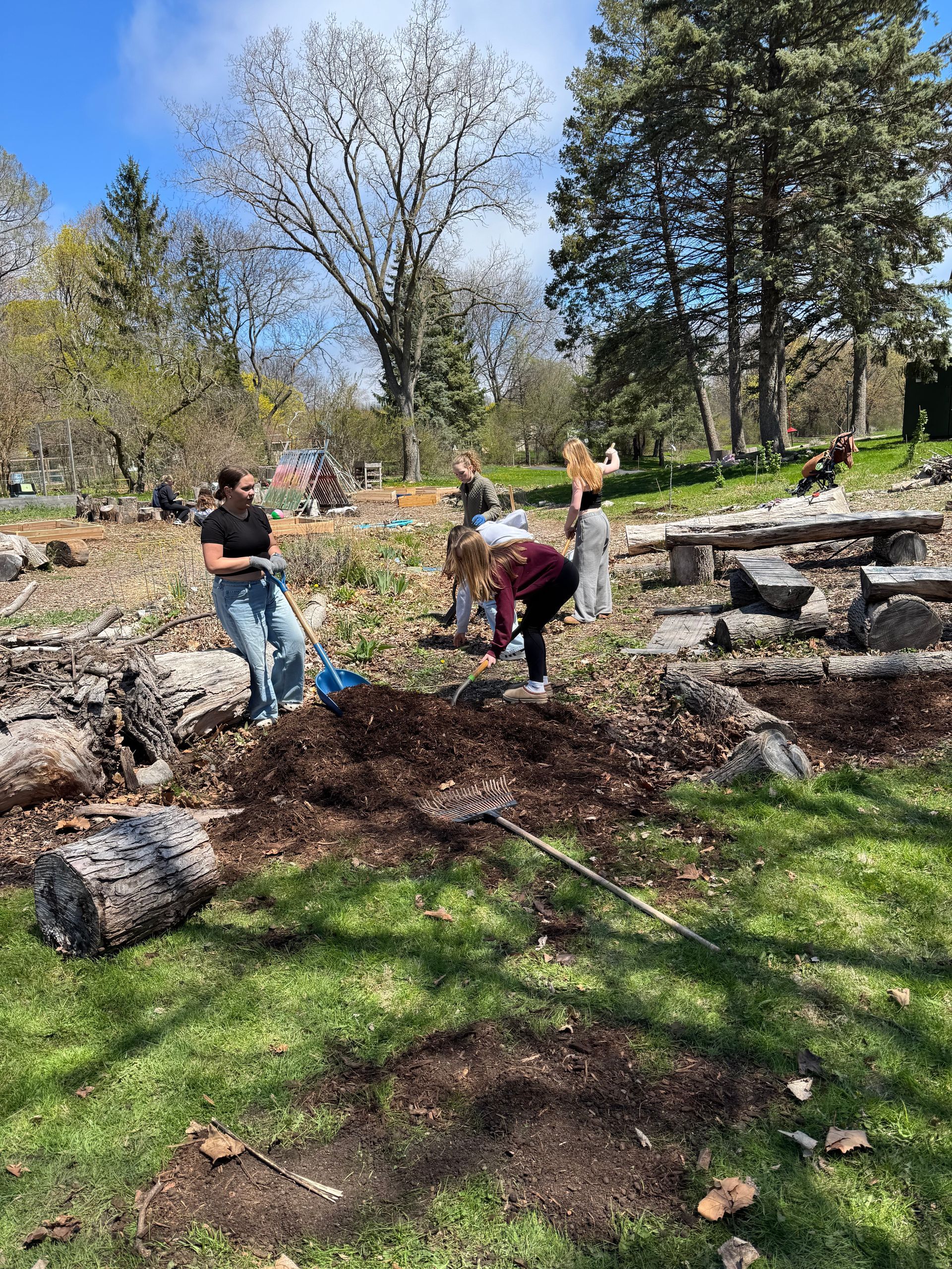 A group of people are working in a park on a sunny day.