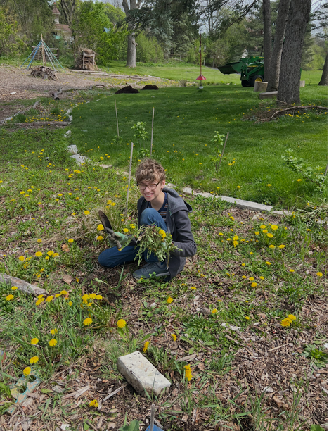 A young boy is kneeling down in a field of flowers