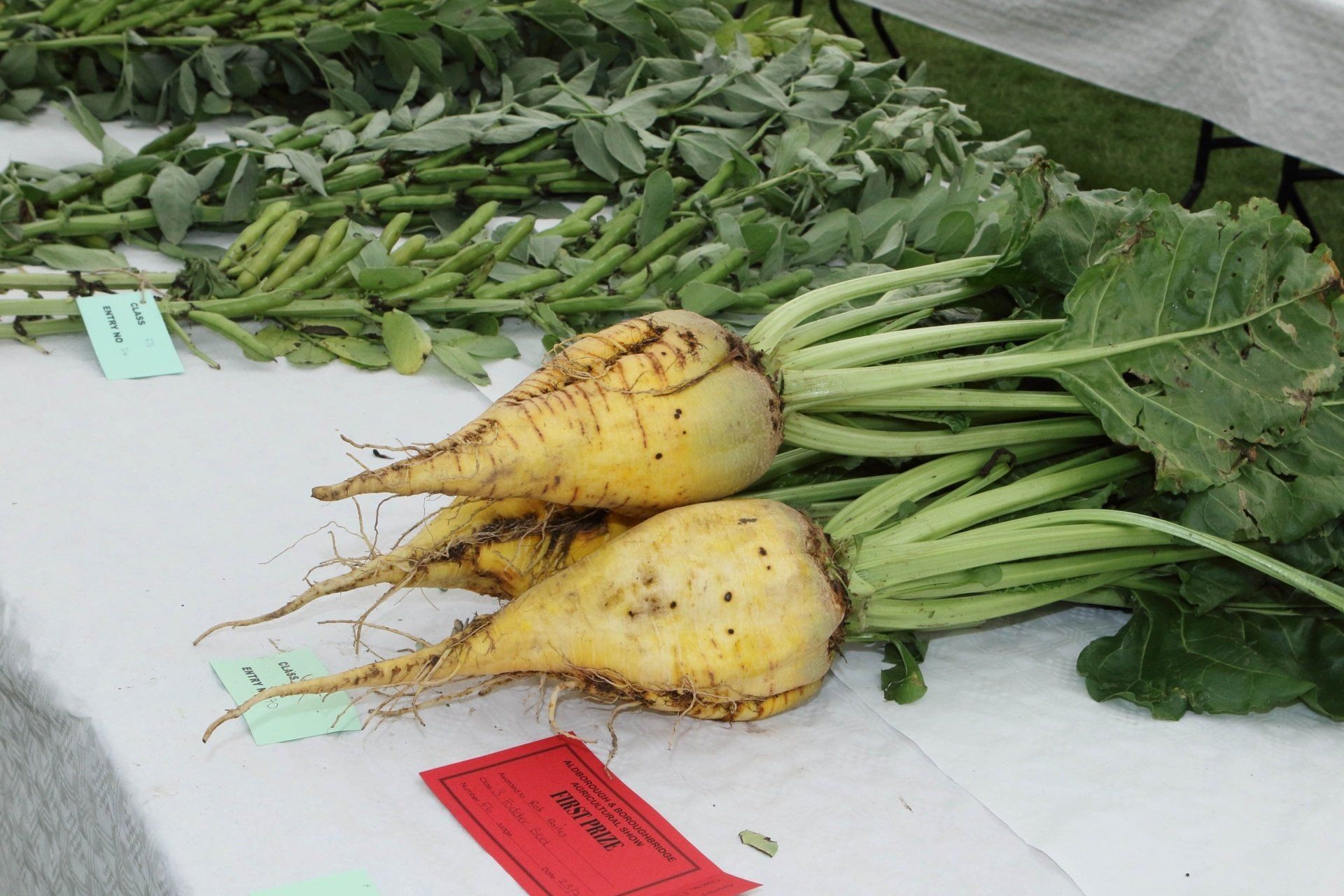 Horticulture Schedule