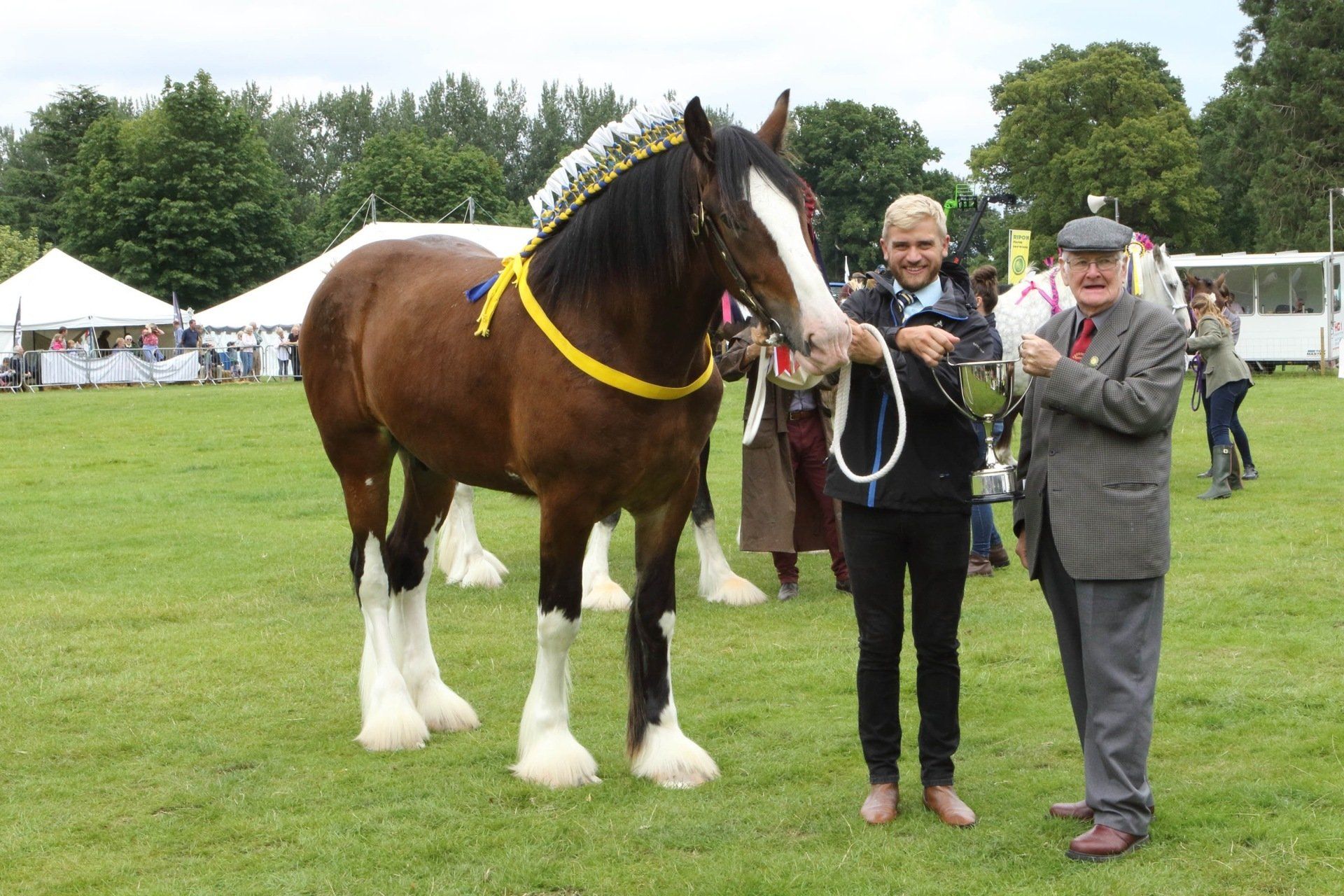 Heavy Horse Schedule