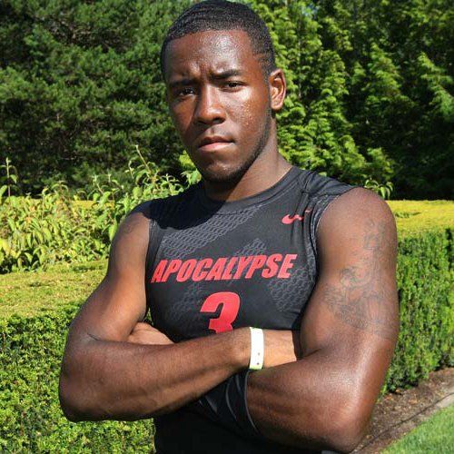 Ford Sports Perfomance