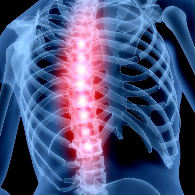 Do Chiropractic Adjustments Really Move Bones in Your Spine?