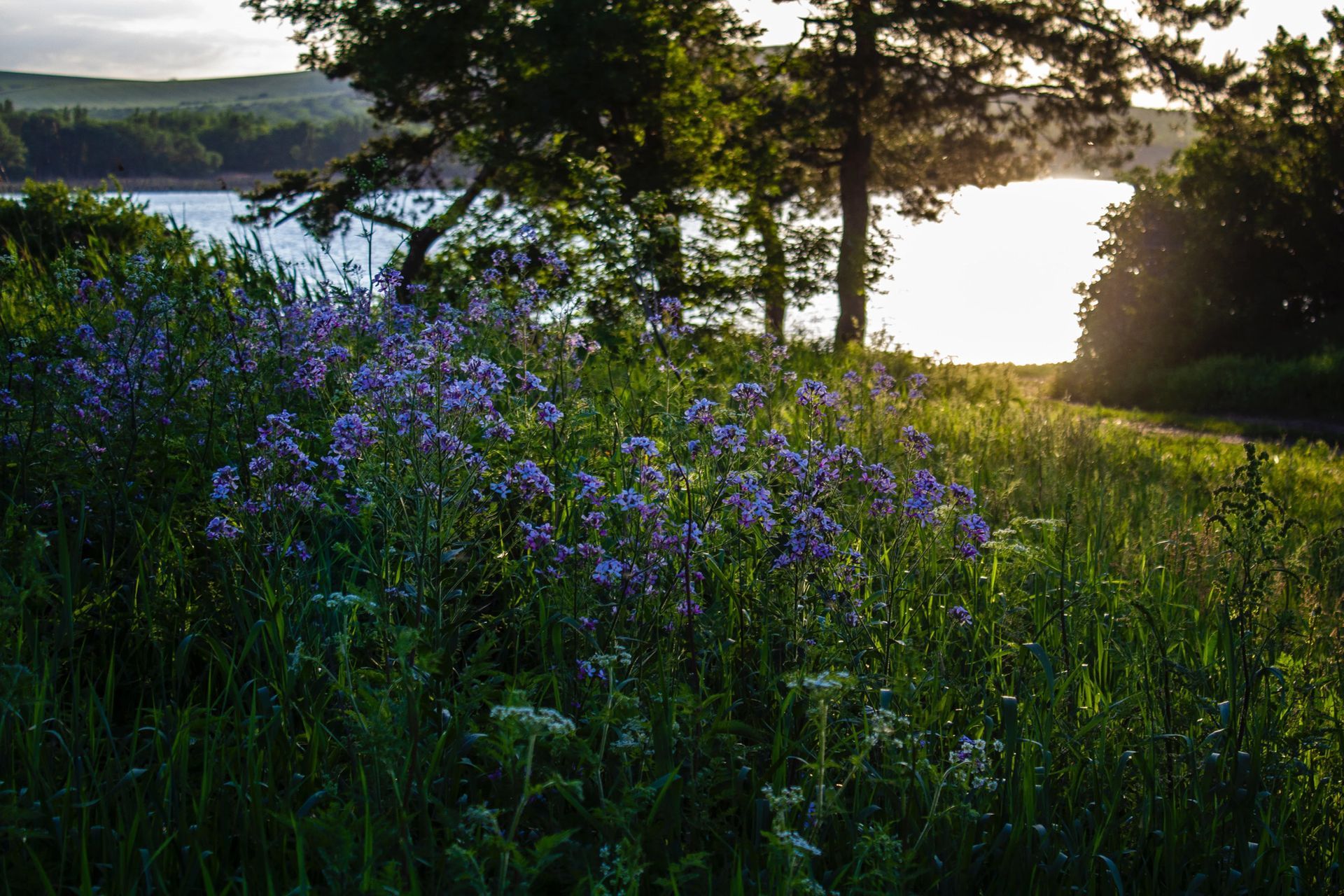 A man in a suit is holding a bouquet of white roses and a urn at a funeral.