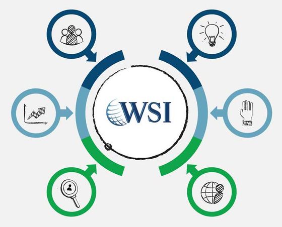 WSI Core Values
