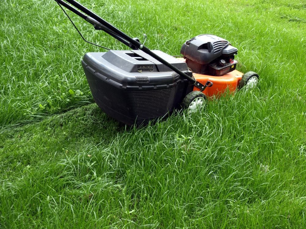 A Lawn Mower Is Cutting A Lush Green Lawn — Rocky Small Motor Service In Rockhampton, QLD