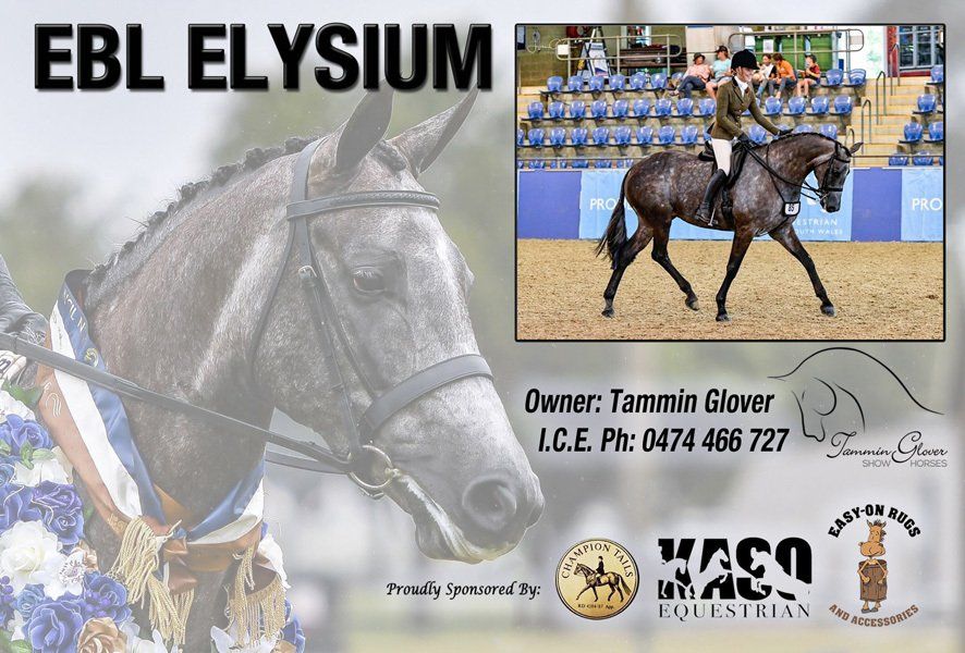 Show horse sign