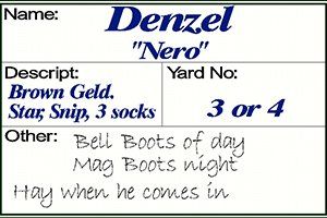 Dressage sign